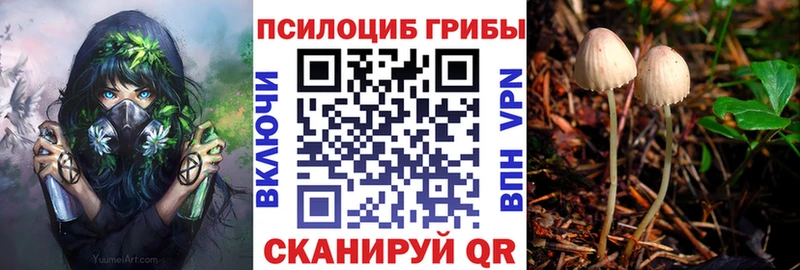 Купить где  Белореченск  Галлюциногенные грибы мухоморы 